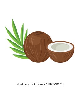 Cocinar fruta entera y media. Ilustración plana del vector aislada en fondo blanco