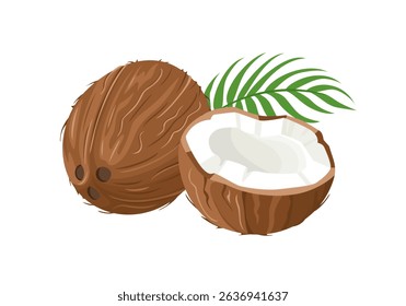 Coconut whole, half and green leaf isolated on white background. Vector cartoon flat illustration. Food icons.