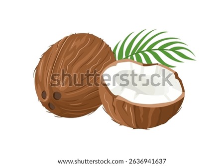 Coconut whole, half and green leaf isolated on white background. Vector cartoon flat illustration. Food icons.