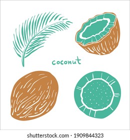 Coconut. Whole, half, leaf.  Colorful sketch collection of tropical fruits isolated on white background. Doodle hand drawn fruit icons. Vector illustration