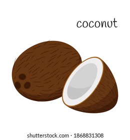 Coconut whole and half. Tropical, exotic fruit icon. Nut. Flat design. Color vector illustration isolated on a white background