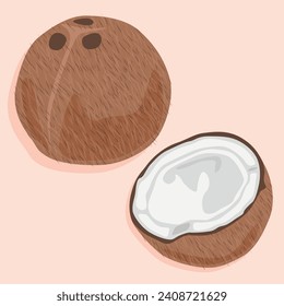 Coconut whole and half. Vector fruit icons. Tropical fruits.