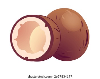 Coconut whole and half vector isolated illustration