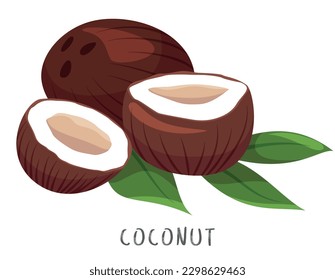 Coconut whole and halves with green leaves and name text isometric vector illustration. Tropical edible palm plant with peel milk exotic coco nutrition fruit with shell healthy vegan brown sweet nut