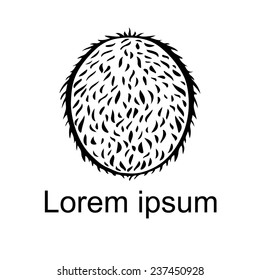 Coconut whole icon isolated on a white background, art logo design