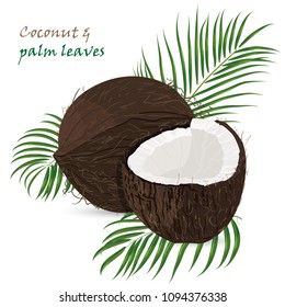 Coconut, whole and pieces with palm leaves isolated on white background. Colorful botanical vector ilustration. Vintage tropic design. Good idea for Summer jungle Fashion seamless pattern