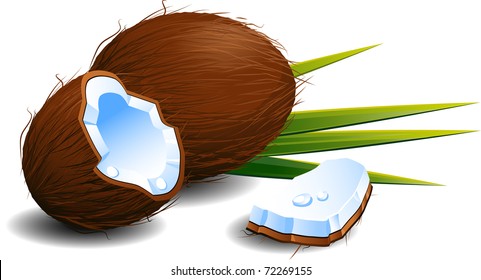 Coconuts