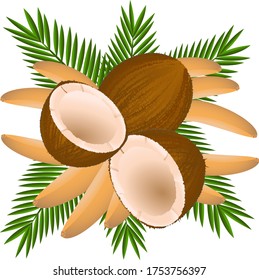 Coconuts and bananas pattern. It can be used as a drawing on fabric, a picture on dishes, drawing on packaging.