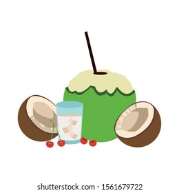 coconuts and coconut drink over white background, vector illustration