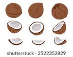 Coconuts and coconut half with leaves isolated on a white background. Vector illustration cartoon flat coconut icon isolated on white background.	