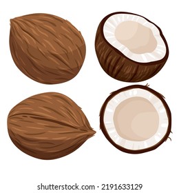 Coconuts and coconut half with leaves isolated on a white background. Vector illustration cartoon flat coconut icon isolated on white background.