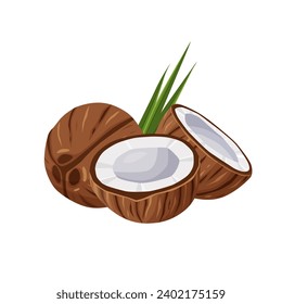 Coconuts and coconut half with leaves isolated on a white background. Vector illustration cartoon flat coconut icon isolated on white background.	