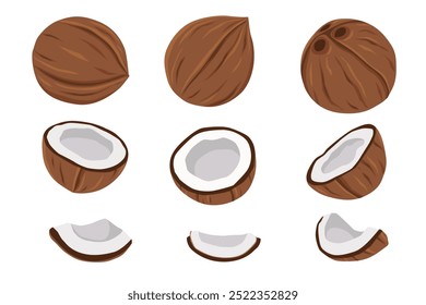 Cocos e coco metade com folhas isoladas em um fundo branco. Ilustração vetorial ícone de coco plano de desenho animado isolado no fundo branco.	