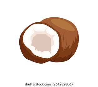 Coconuts and coconut half with leaves isolated on a white background. Vector illustration cartoon flat coconut icon isolated on white background. Farm fresh coconut product emblem for grocery shop