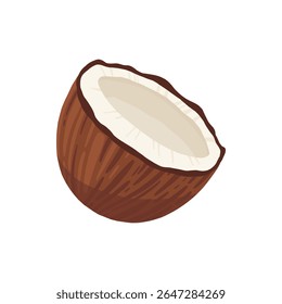 Cocos e coco metade com folhas isoladas em um fundo branco. Ilustração vetorial ícone de coco plano de desenho animado isolado no fundo branco.