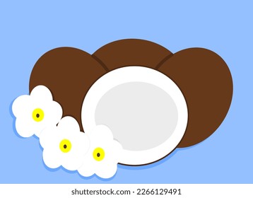 Coconuts with flowers on a blue background