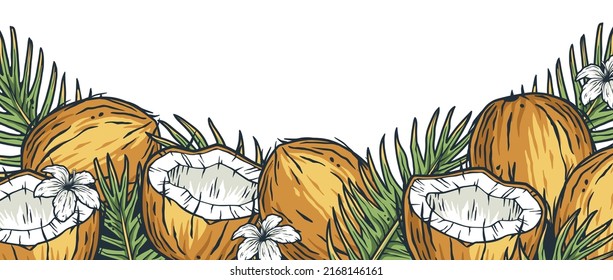 Coconuts frame. Summer tropical fruits design element