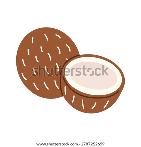 Coconuts fruit cartoon style. Fresh whole coconut, half nut, tropical summer fruit, healthy food concept. Vector flat illustration isolated on white background.