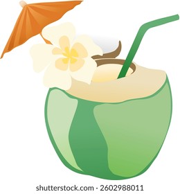Coconuts fruit fresh and flower vector illustration, isolated on white background