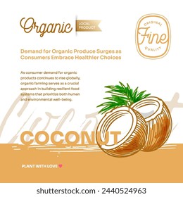 Coconuts hand drawn exotic tropical fruit vector post, flyer and label. Modern typography banner with hand drawn coconuts isolated. Natural organic fruit product and health care goods.