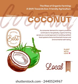 Coconuts hand drawn exotic tropical fruit vector post, flyer and label. Modern typography banner with hand drawn coconuts isolated. Natural organic fruit product and health care goods.