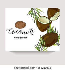 Coconuts hand drawn vector banner in a sketch style. Package design.