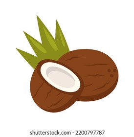 Coconuts Healthy Food. Vector Illustration