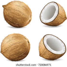 Coconuts isolated on white background.