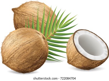 Coconuts isolated on white background.