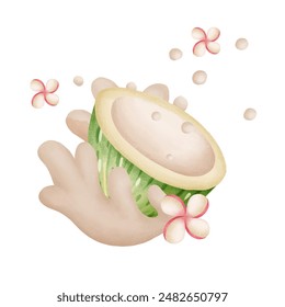 coconuts, leaves and flowers watercolor elements isolated on white background. Vector illustration.