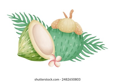 coconuts, leaves and flowers watercolor elements isolated on white background. Vector illustration.