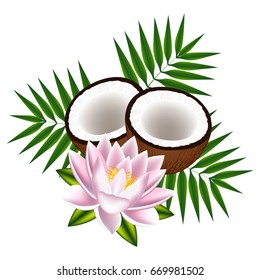 Coconuts with leaves and lotus on white background.