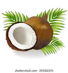 Coconuts with leaves on a white background vector