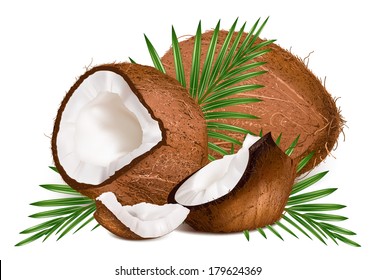 Coconuts with leaves. Vector illustration.