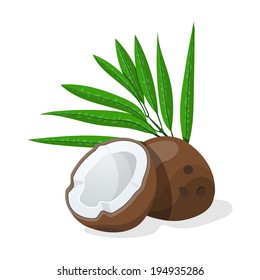 Coconuts with leaves. Vector illustration.