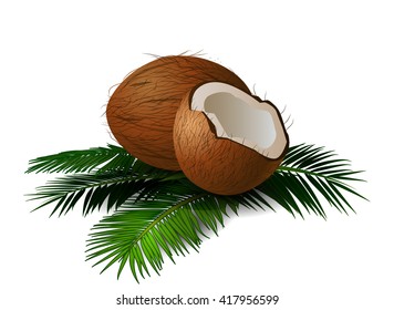 Coconuts with leaves. Vector illustration.