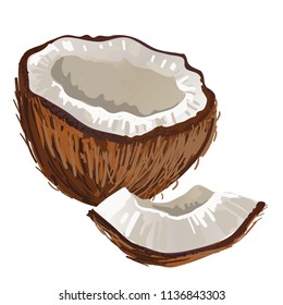 coconuts on white background