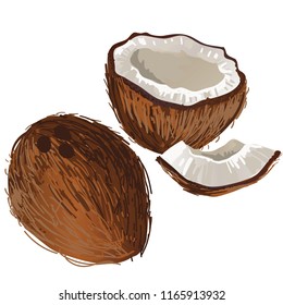 coconuts on white background