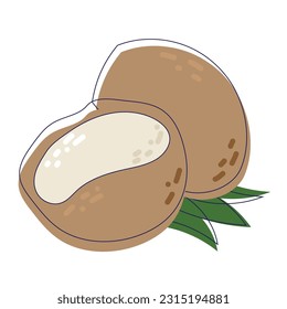 Coconuts with palm leaves isolated on white background. Half a coconut. Summer and paradise icon. Wallpaper, print, wrapping paper, modern textile design, banner, poster. Vector illustration design