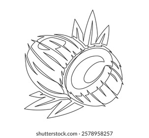 Coconuts with palm leaves line art isolated on white background. Simple plant silhouette. Hand drawn coconuts outline. Editable stroke. Vector illustration