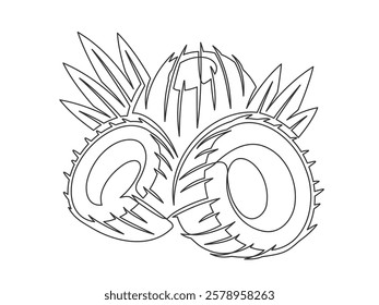 Coconuts with palm leaves line art isolated on white background. Simple plant silhouette. Hand drawn coconuts outline. Editable stroke. Vector illustration