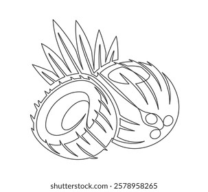 Coconuts with palm leaves line art isolated on white background. Simple plant silhouette. Hand drawn coconuts outline. Editable stroke. Vector illustration