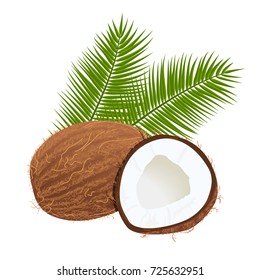 coconuts with palm leaves. Whole and cracked. isolated on white background. realistic 3d vector illustration. For menu, prints, decoration, food design, label, tag, logo, web template, spa, cosmetics