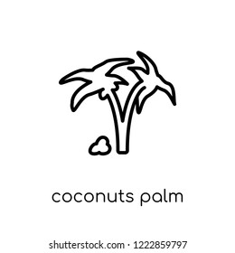 coconuts palm tree of brazil icon. Trendy modern flat linear vector coconuts palm tree of brazil icon on white background from thin line Brazilian icons collection, outline vector illustration