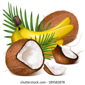 Coconuts and ripe yellow bananas with leaves. Vector illustration.  