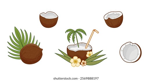 Coconuts with tropical leaves elements showcasing nature beauty and refreshing drink ideas in a vibrant setting. Coconut broken into several pieces. Isolated vector illustration.