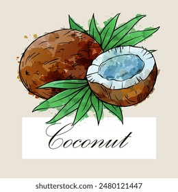 Cocos y hojas tropicales dibujado a mano boceto acuarela Ilustración vectorial, Plantilla para el Anuncio, etiqueta.