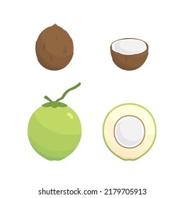 Coconuts variant simple vector design set