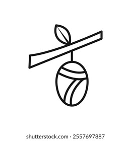 Cocoon icon Isolated flat vector in outline