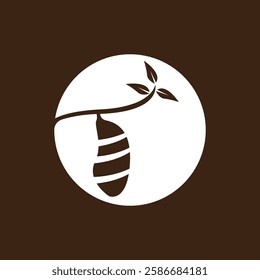 Cocoon Icon And Symbol Template Illustration